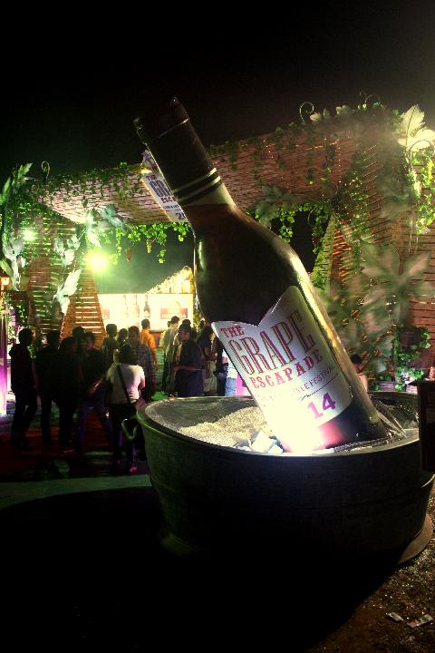The Grape Escapade - Download Goa Photos
